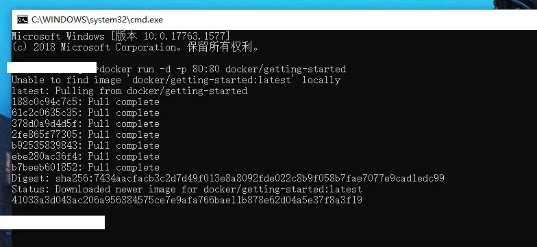 docker run